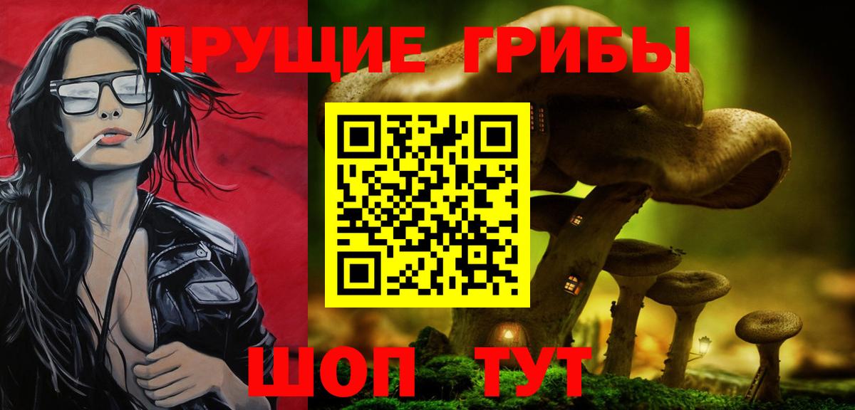 Псилоцибиновые грибы Psilocybine cubensis Котельники